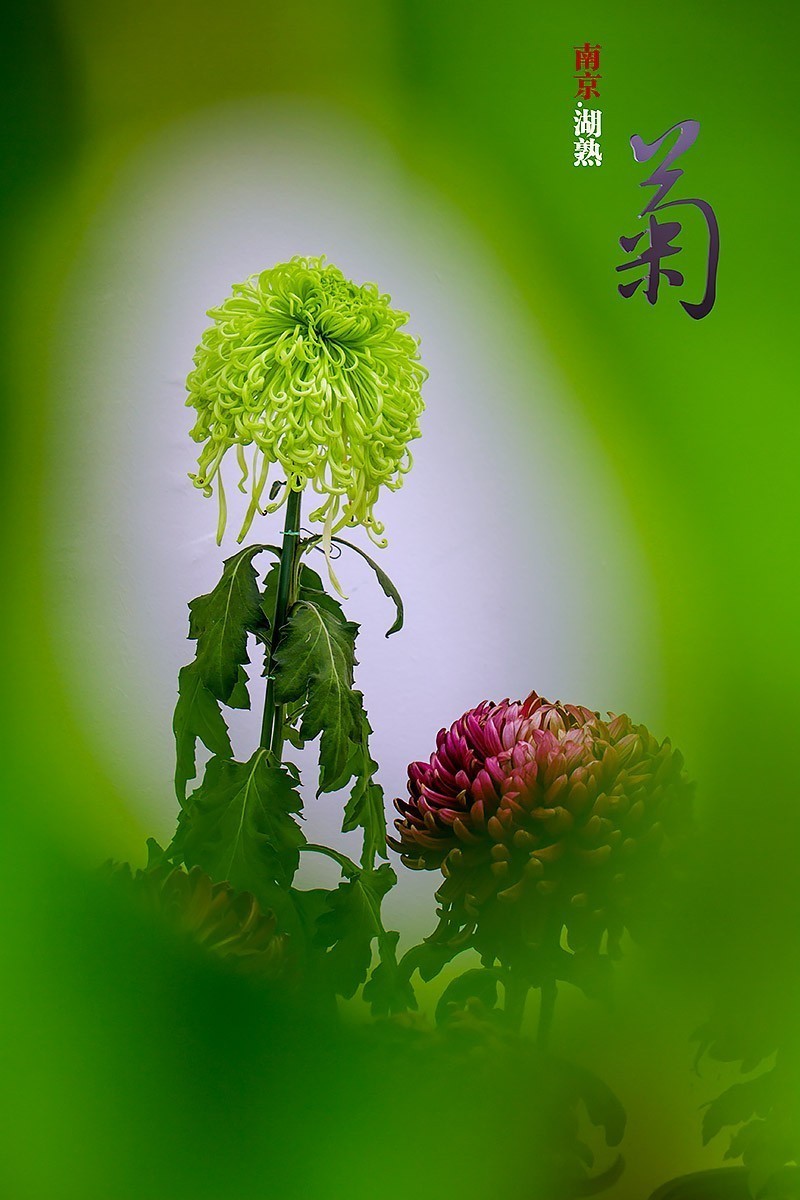 物通网